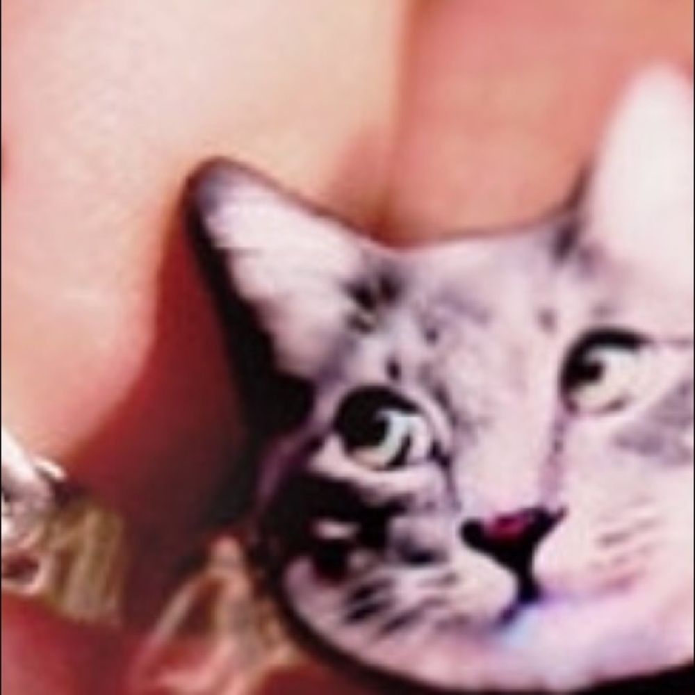 Meet your Posher, Kt